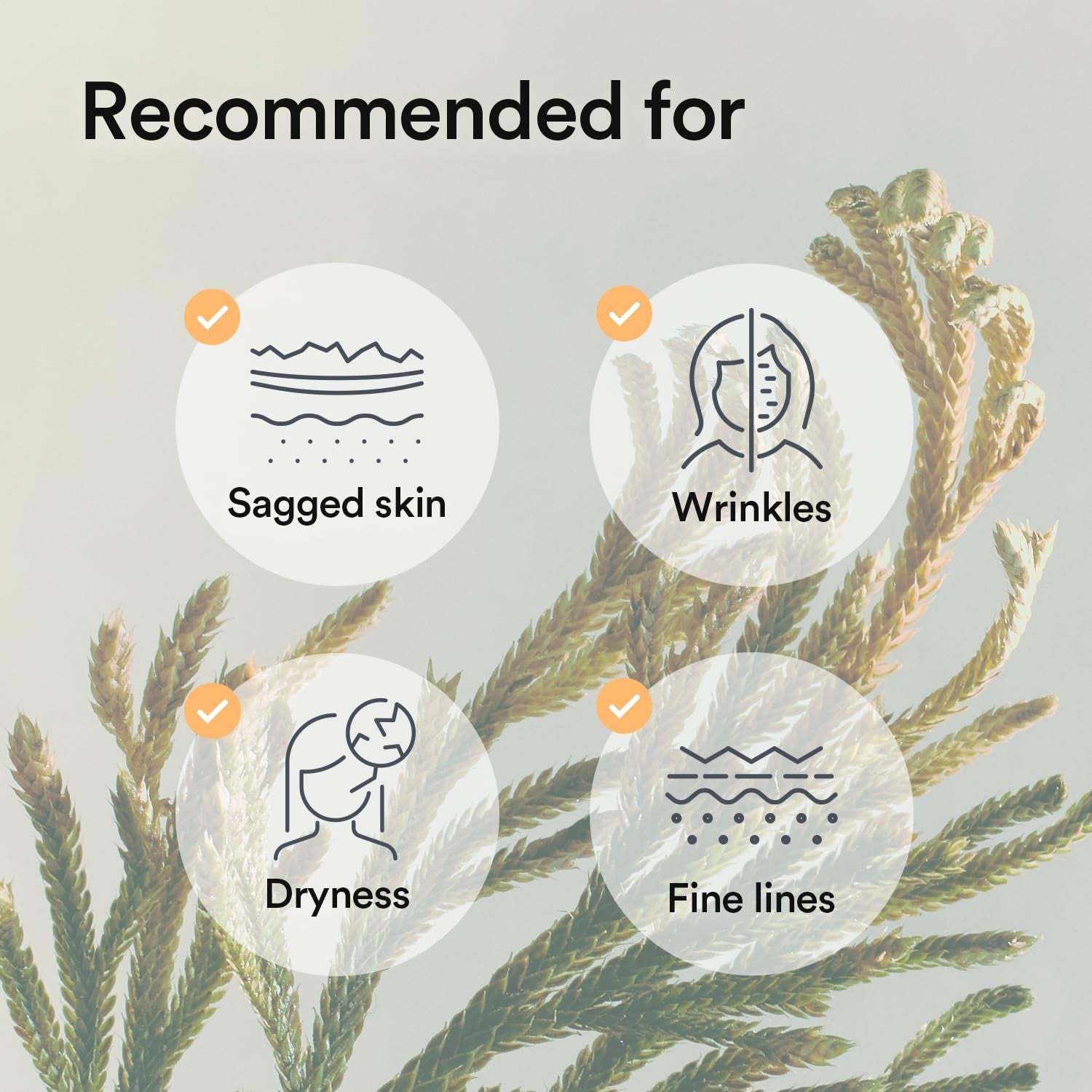 Collagen Gel Mask Jericho Rose Jelly 4 Sheets (Nourishing) I Korean Vegan Collagen, Cooling Nourishing Hyaluronic Acid Hydrogel Face Mask Skin Care